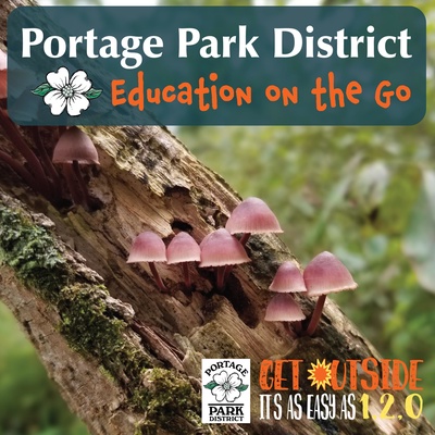Portage Park District - Education on the Go!