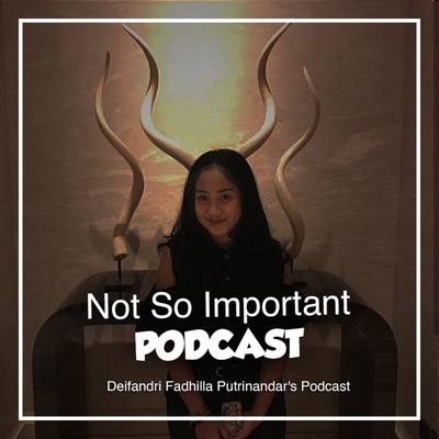 Not So Important Podcast