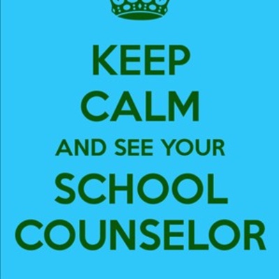The High School Counselor