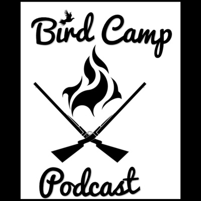 Bird Camp