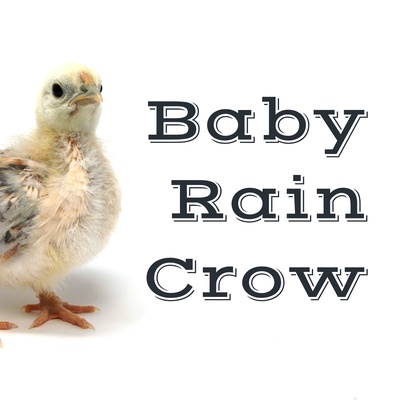 Baby Rain Crow