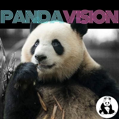 PandaVision - Barry