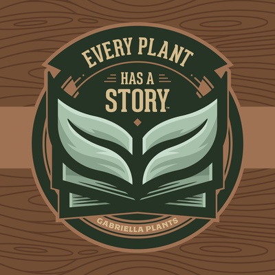Every Plant Story | Gabriella Plants