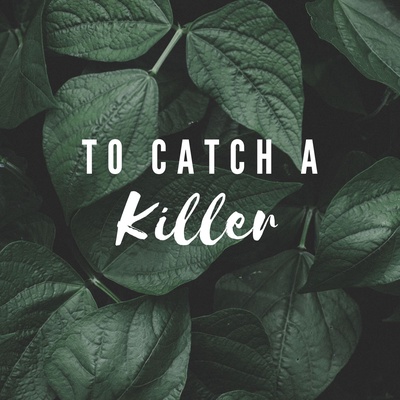 To Catch A Killer