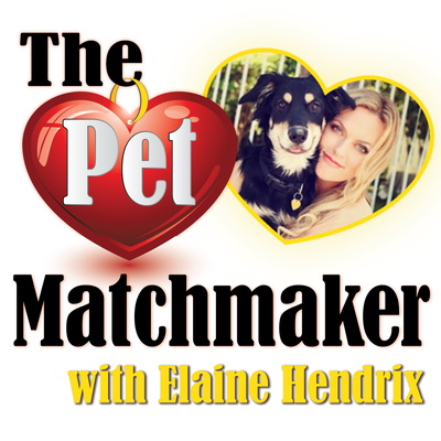 The Pet Matchmaker