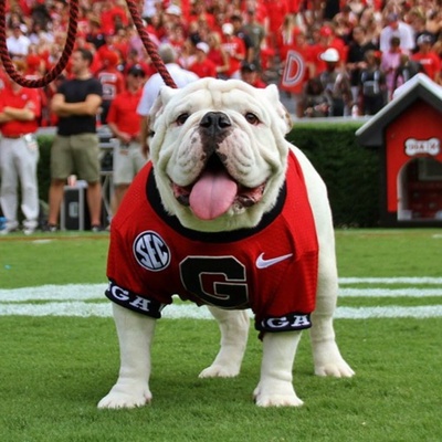 Bulldawg Illustrated On Air