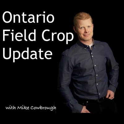 Ontario Field Crop Update