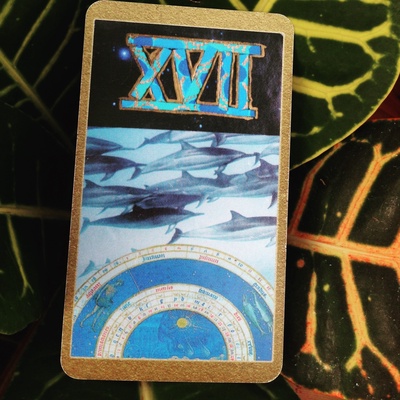 Tarot Electric