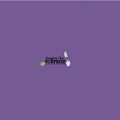 Imagine Our Surprise Podcast