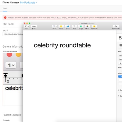 Celebrity Roundtable