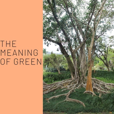 The Meaning of Green