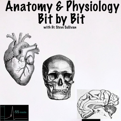 Anatomy and Physiology - Bit by Bit