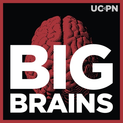 Big Brains