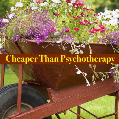 Cheaper Than Psychotherapy