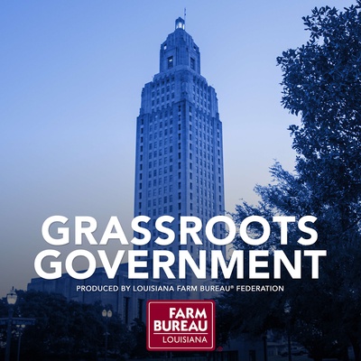 Grassroots Government