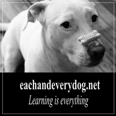 Each and every dog