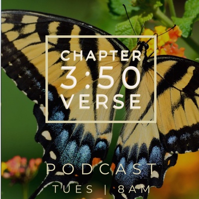 Chapter 3 Verse 50