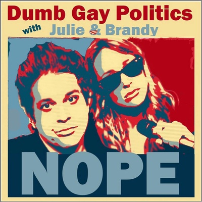 Dumb Gay Politics