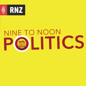 Nine To Noon Politics
