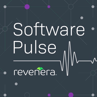 Revenera Software Pulse