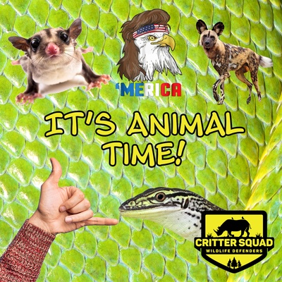 It's Animal Time!