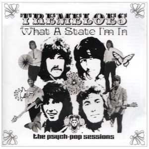 What a State I'm In: The Psych Pop Sessions